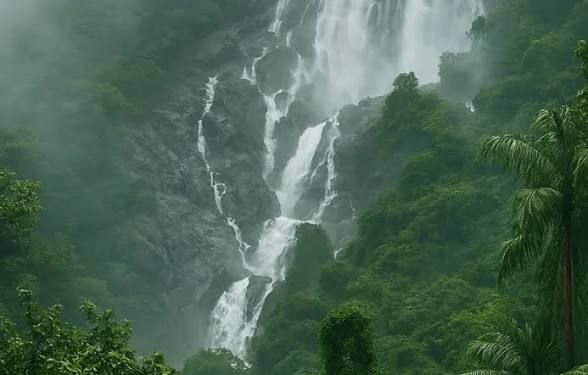 Family Goa Tour Package